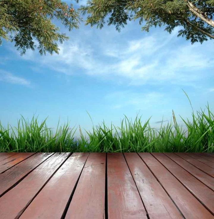 Créons une terrasse pour vous détendre, vous divertir et profiter du plein air.